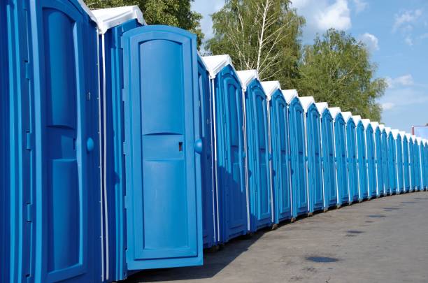 Best Affordable portable toilet rental  in Fort Valley, AZ